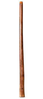 Wix Stix Opal Didgeridoo (WS176)